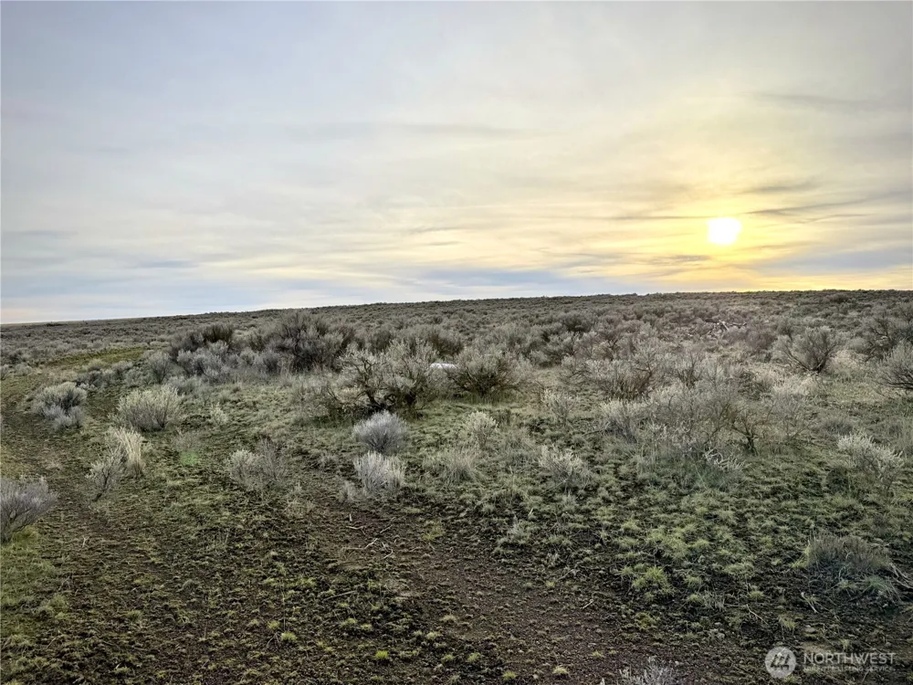 0 15.6 ROAD NE #98860 Wilson Creek, WA 98860