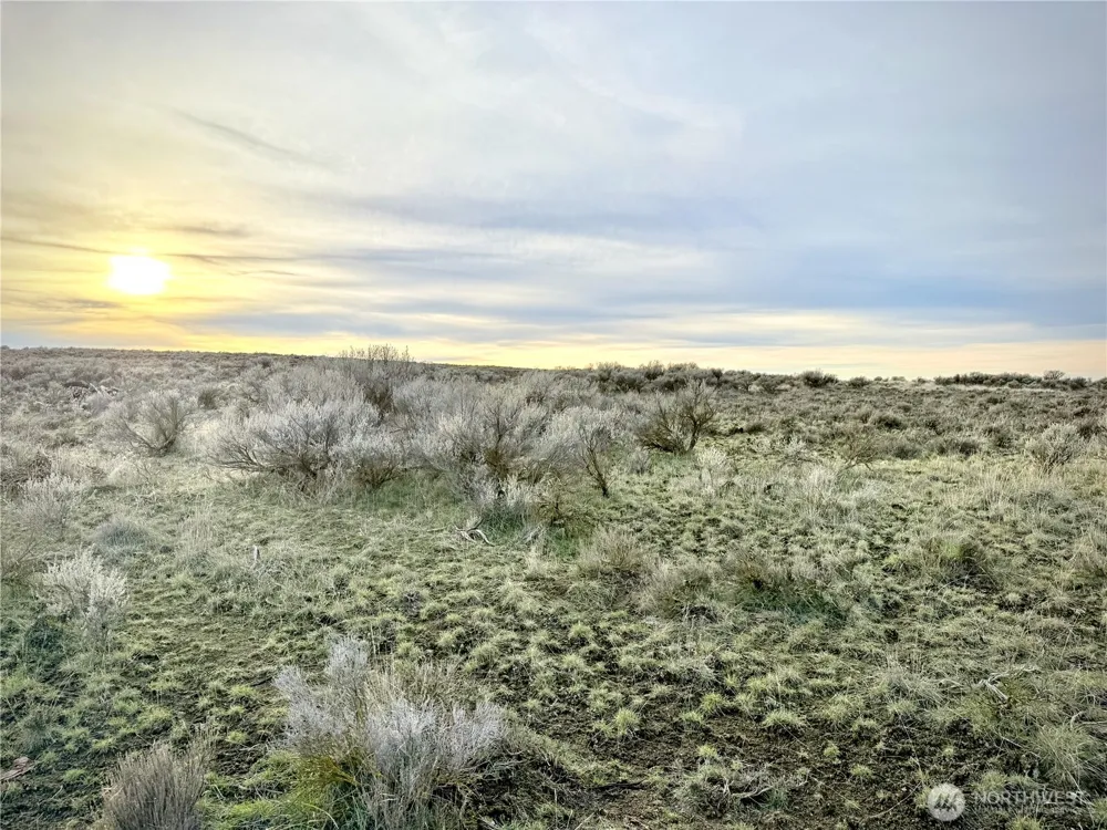 0 15.6 ROAD NE #98860 Wilson Creek, WA 98860