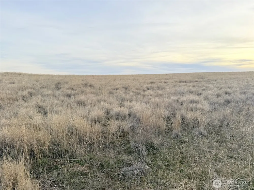 0 15.6 ROAD NE #98860 Wilson Creek, WA 98860