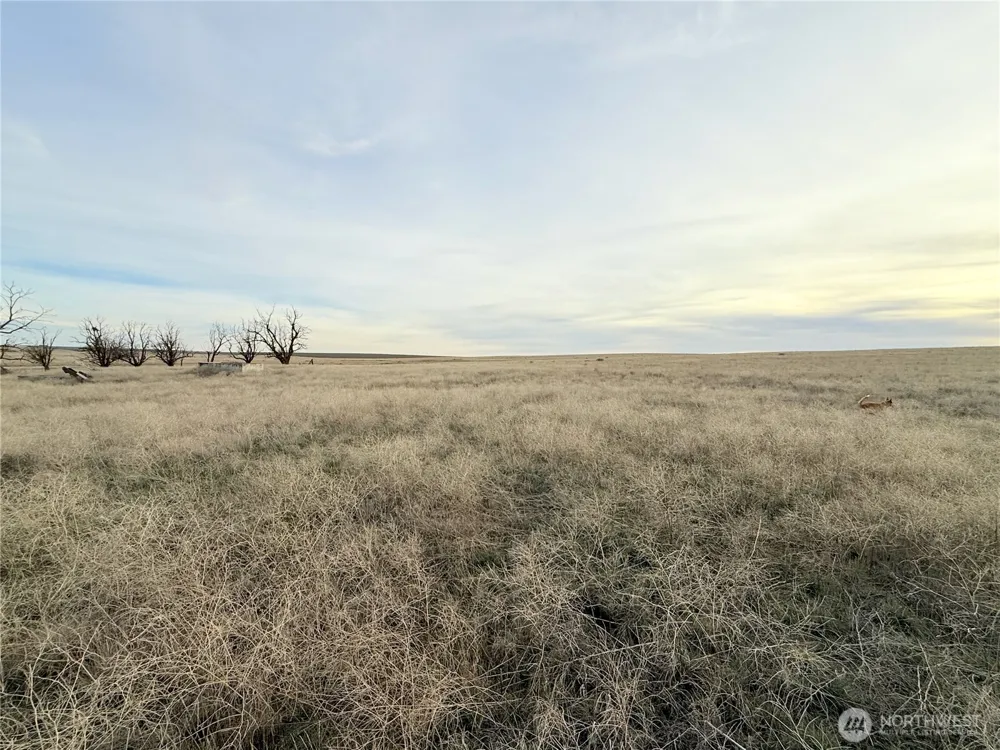 0 15.6 ROAD NE #98860 Wilson Creek, WA 98860