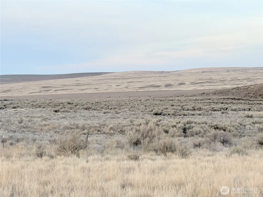 0 15.6 ROAD NE #98860 Wilson Creek, WA 98860
