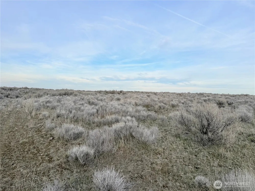 0 15.6 ROAD NE #98860 Wilson Creek, WA 98860