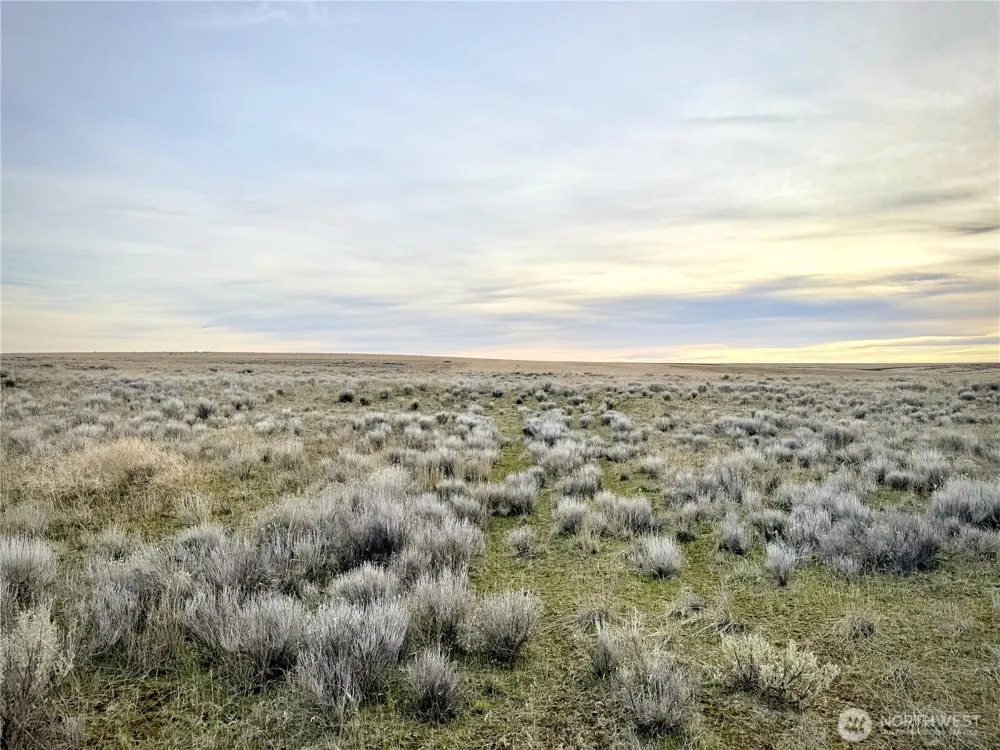 0 15.6 ROAD NE #98860 Wilson Creek, WA 98860