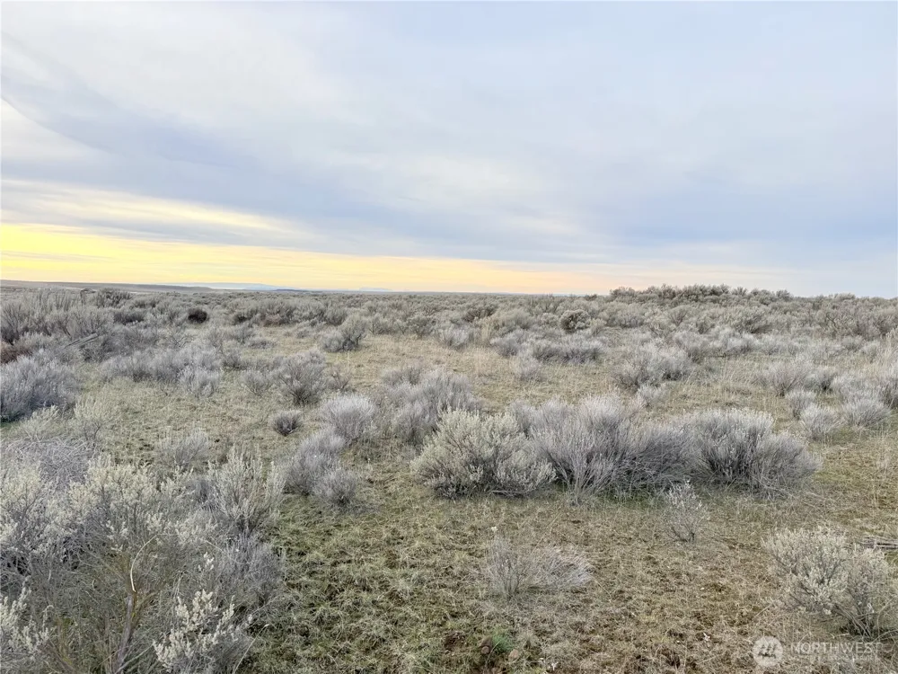 0 15.6 ROAD NE #98860 Wilson Creek, WA 98860