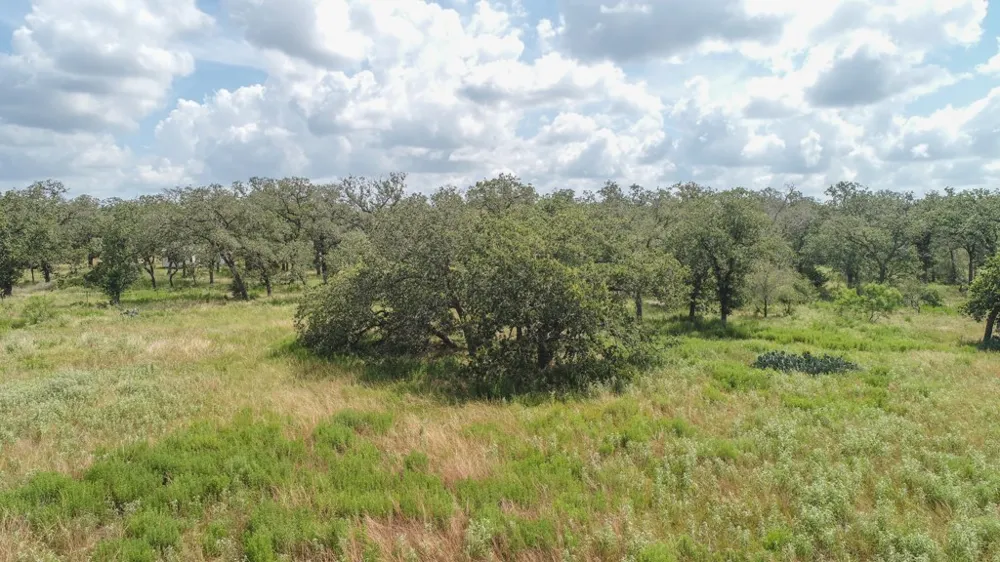 1140 Chalk Road Harwood, TX 78632