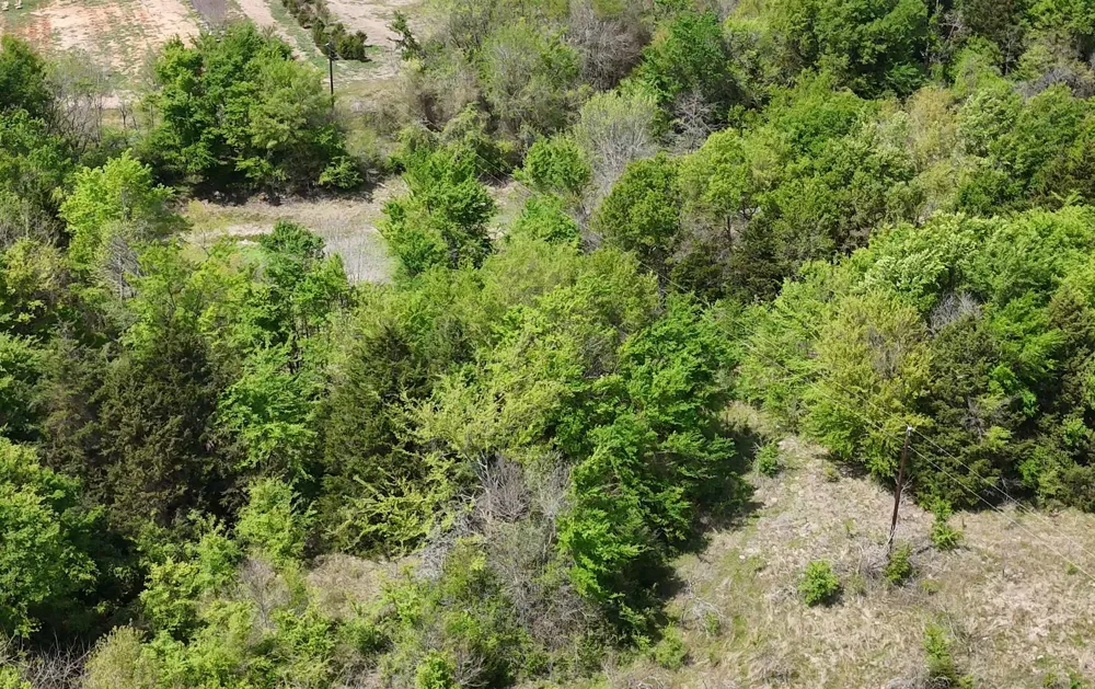 FCR 980 Mexia, TX 76667