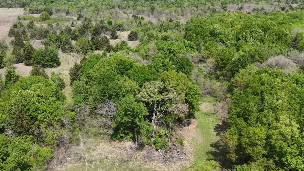 FCR 980 Mexia, TX 76667