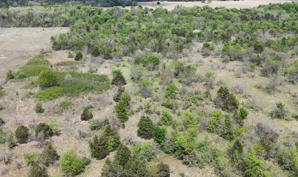 FCR 980 Mexia, TX 76667
