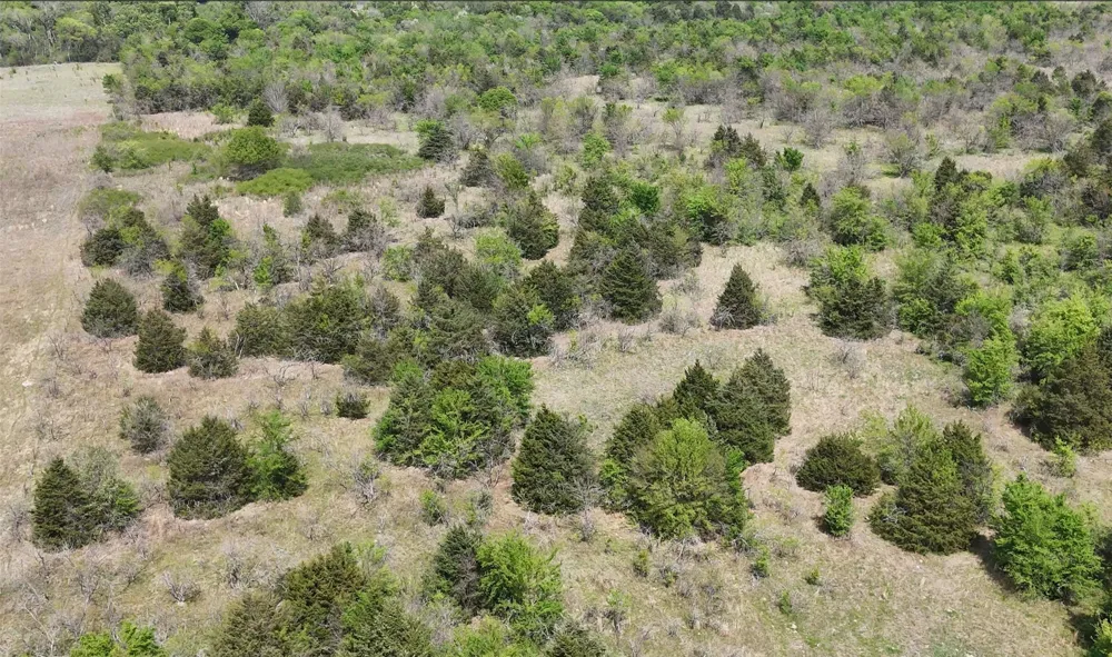 FCR 980 Mexia, TX 76667