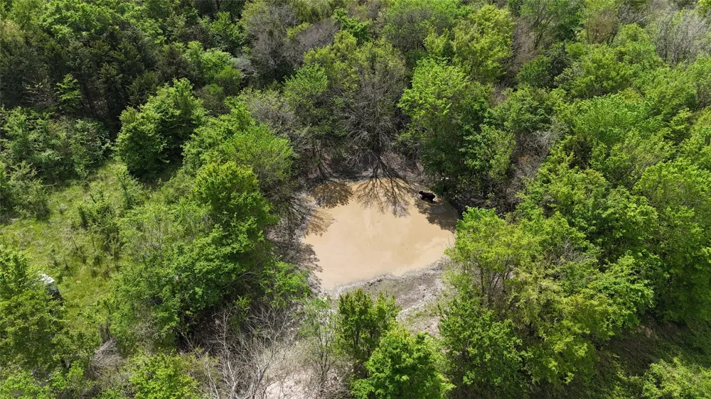 FCR 980 Mexia, TX 76667