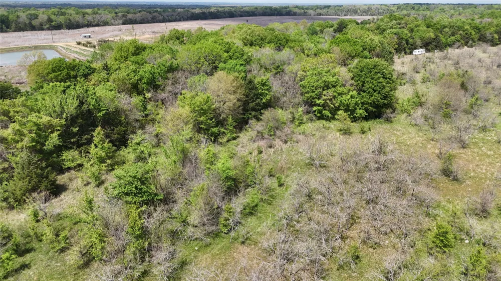 FCR 980 Mexia, TX 76667