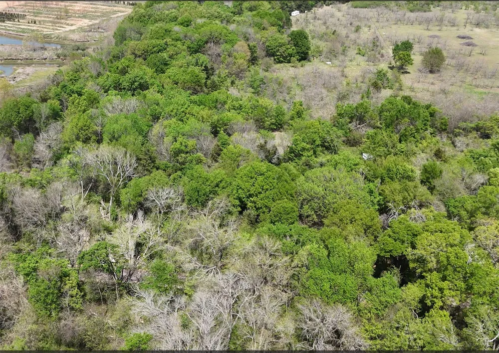 FCR 980 Mexia, TX 76667