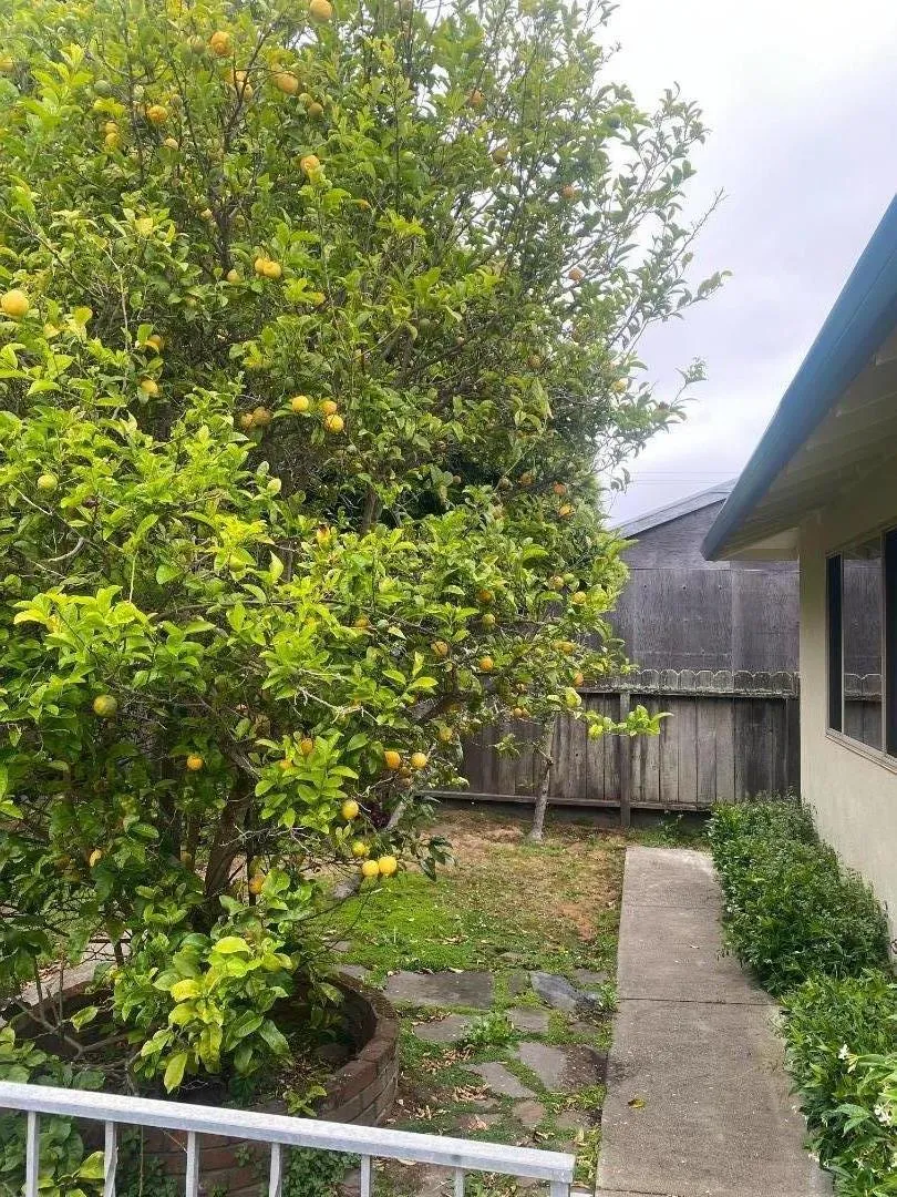 Address Not Shown Pacifica, CA 94044