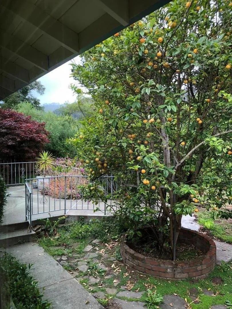 Address Not Shown Pacifica, CA 94044