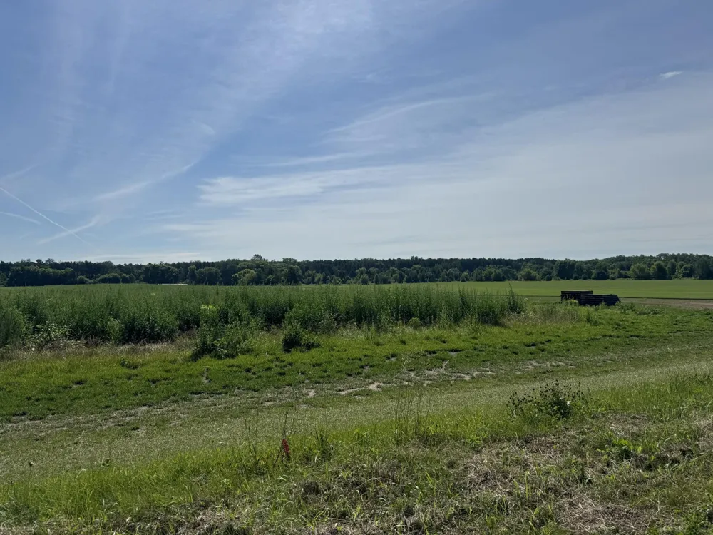 Xxxx - Lot C Oakgreen Ave S Afton, MN 55001