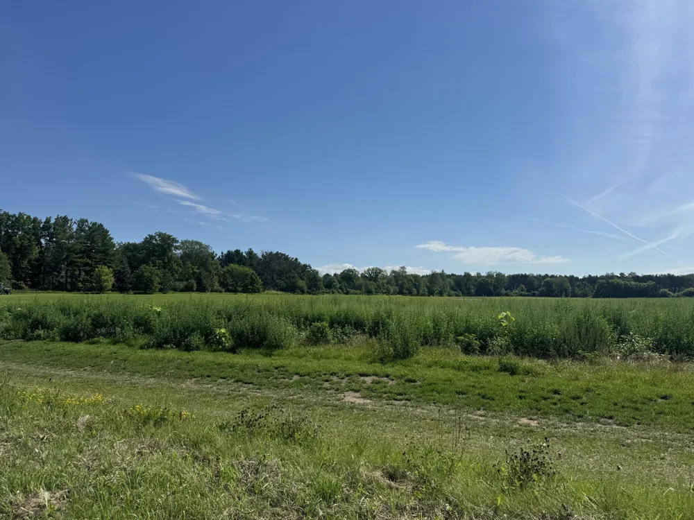 Xxxx - Lot C Oakgreen Ave S Afton, MN 55001