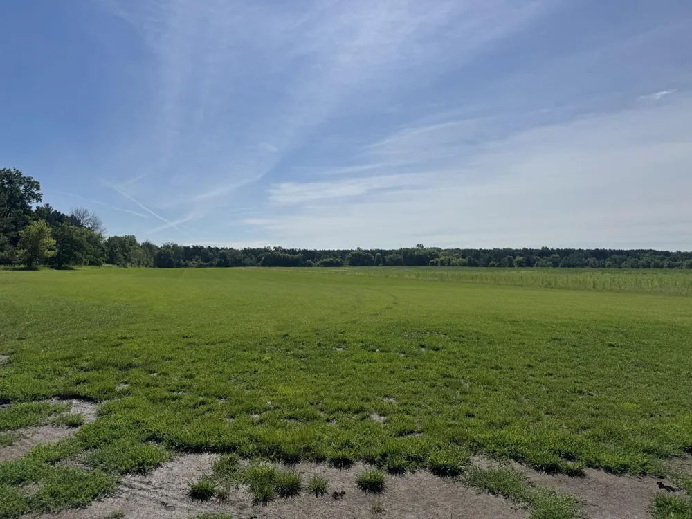 Xxxx - Lot C Oakgreen Ave S Afton, MN 55001
