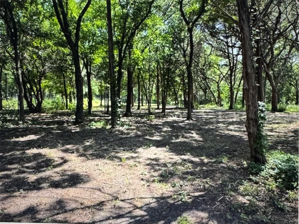 3 Robin Cedar Hill, TX 75104