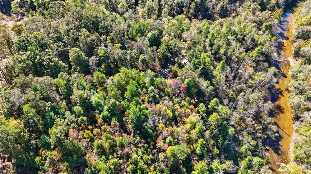1666 Hunter Drive Ranger, GA 30734