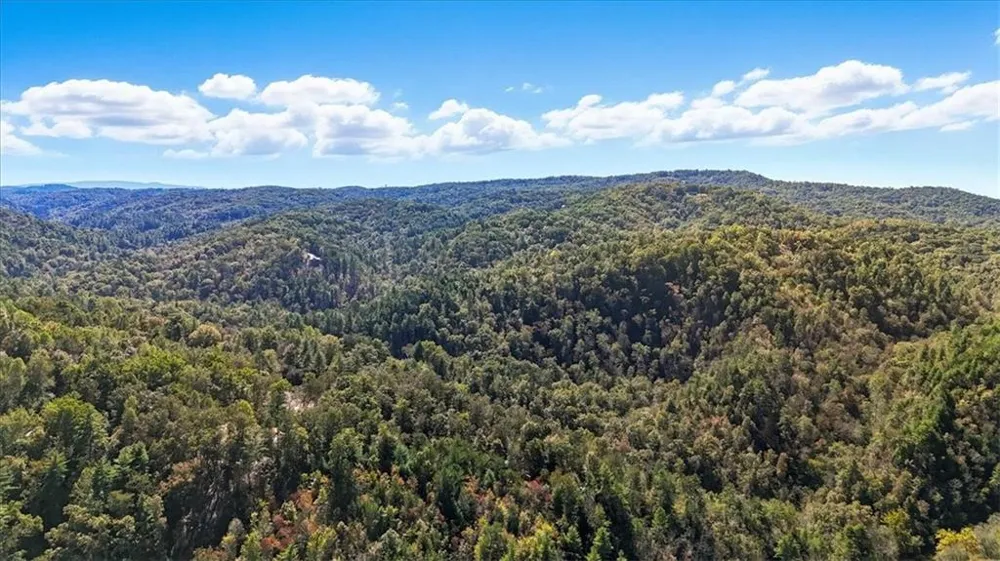 1666 Hunter Drive Ranger, GA 30734
