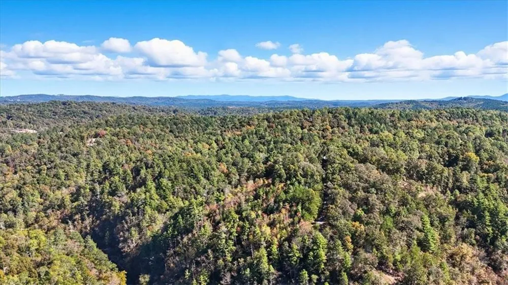 1666 Hunter Drive Ranger, GA 30734