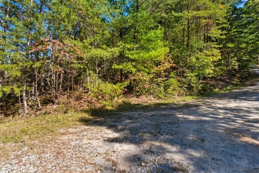 1666 Hunter Drive Ranger, GA 30734