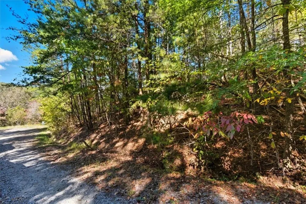 1666 Hunter Drive Ranger, GA 30734