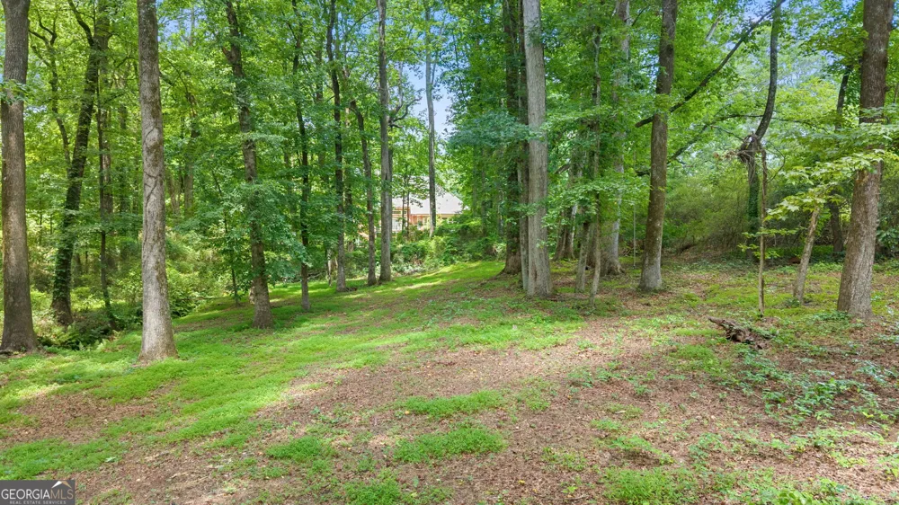 1030 Oaklake TER Watkinsville, GA 30677