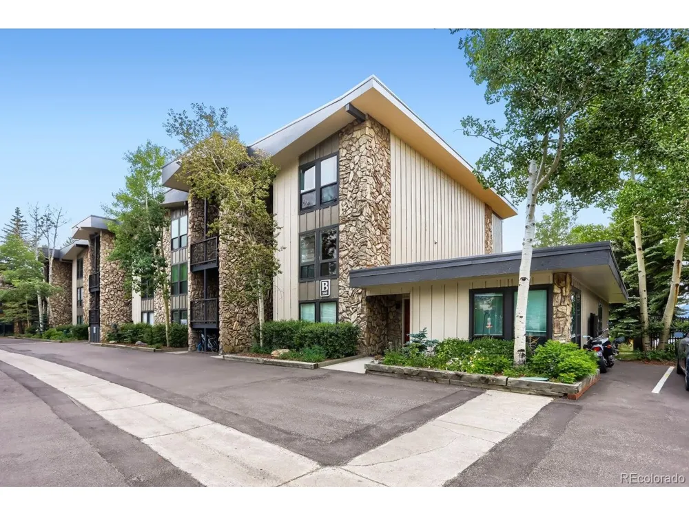 160 E La Bonte Street #B-201 Dillon, CO 80435