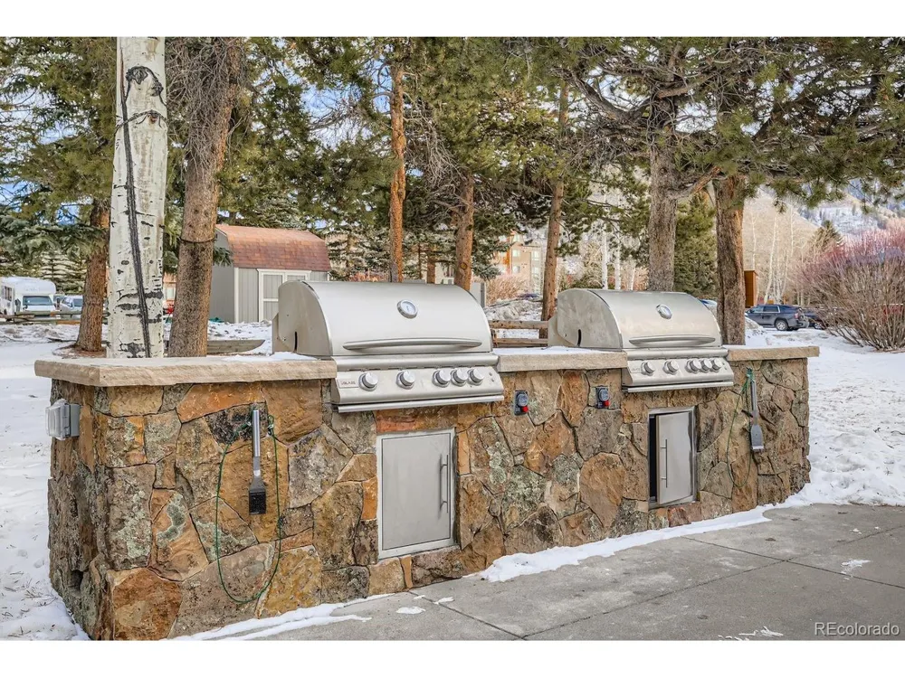 160 E La Bonte Street #B-201 Dillon, CO 80435