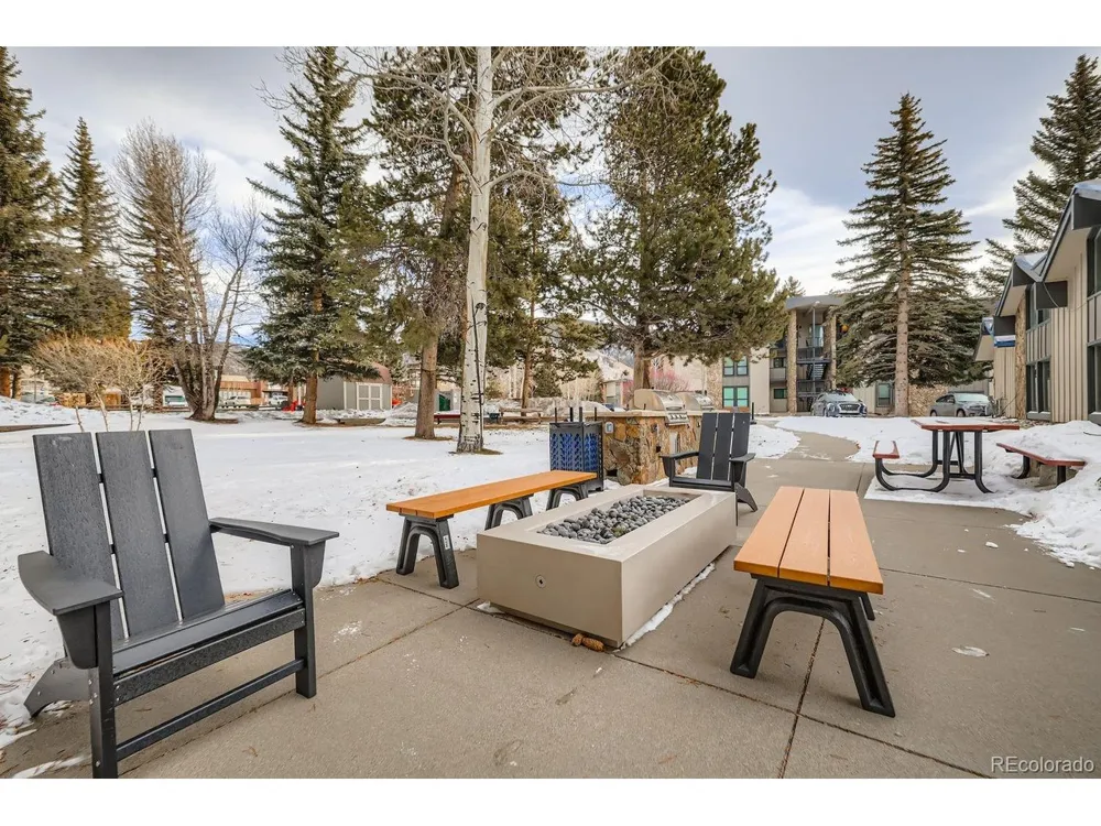 160 E La Bonte Street #B-201 Dillon, CO 80435