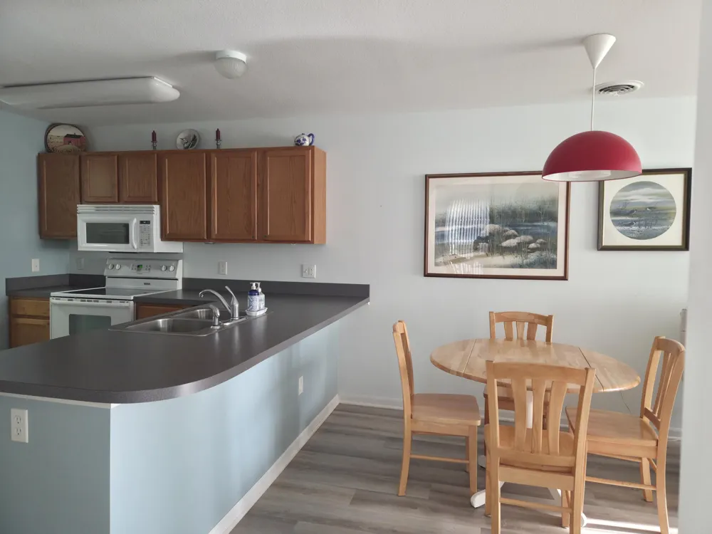 13553 Stover Court #1 Charlevoix Township, MI 49720