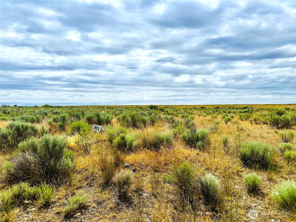 98860 NE Road 21.2 Wilson Creek, WA 98860