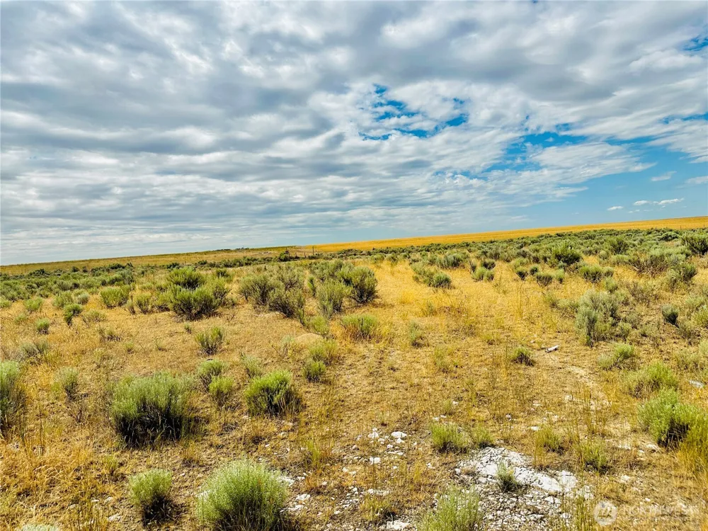 98860 NE Road 21.2 Wilson Creek, WA 98860