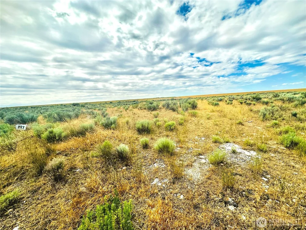 98860 NE Road 21.2 Wilson Creek, WA 98860