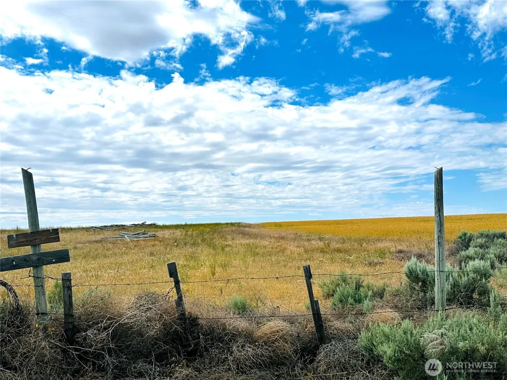 98860 NE Road 21.2 Wilson Creek, WA 98860