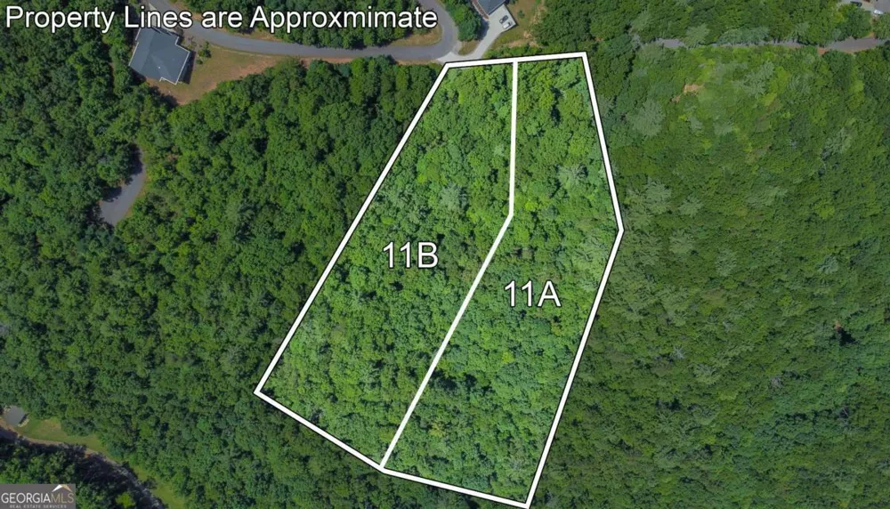 LOT 11B Prospectors RD Blairsville, GA 30512