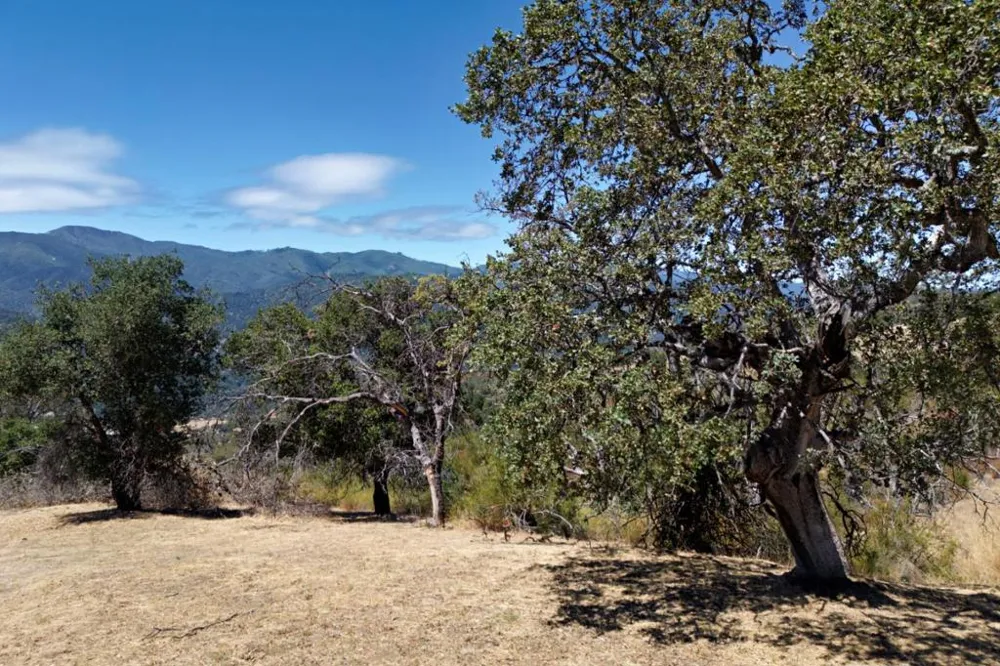 40 Asoleado Place Carmel Valley, CA 93924