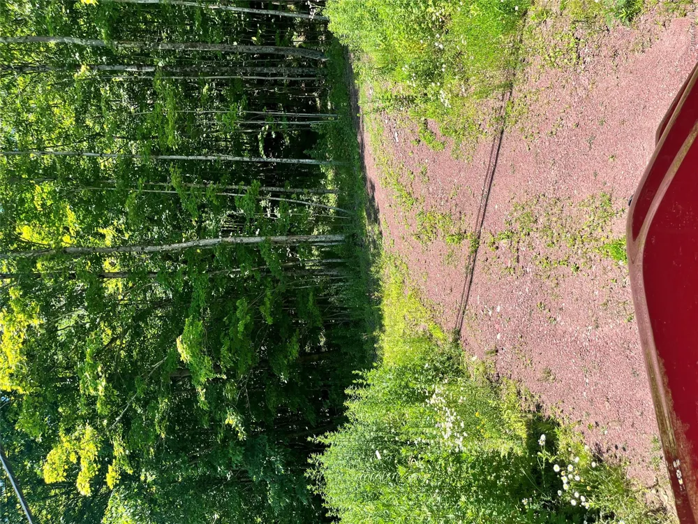 Lower Pond Dahlia Road W Livingston Manor, NY 12758