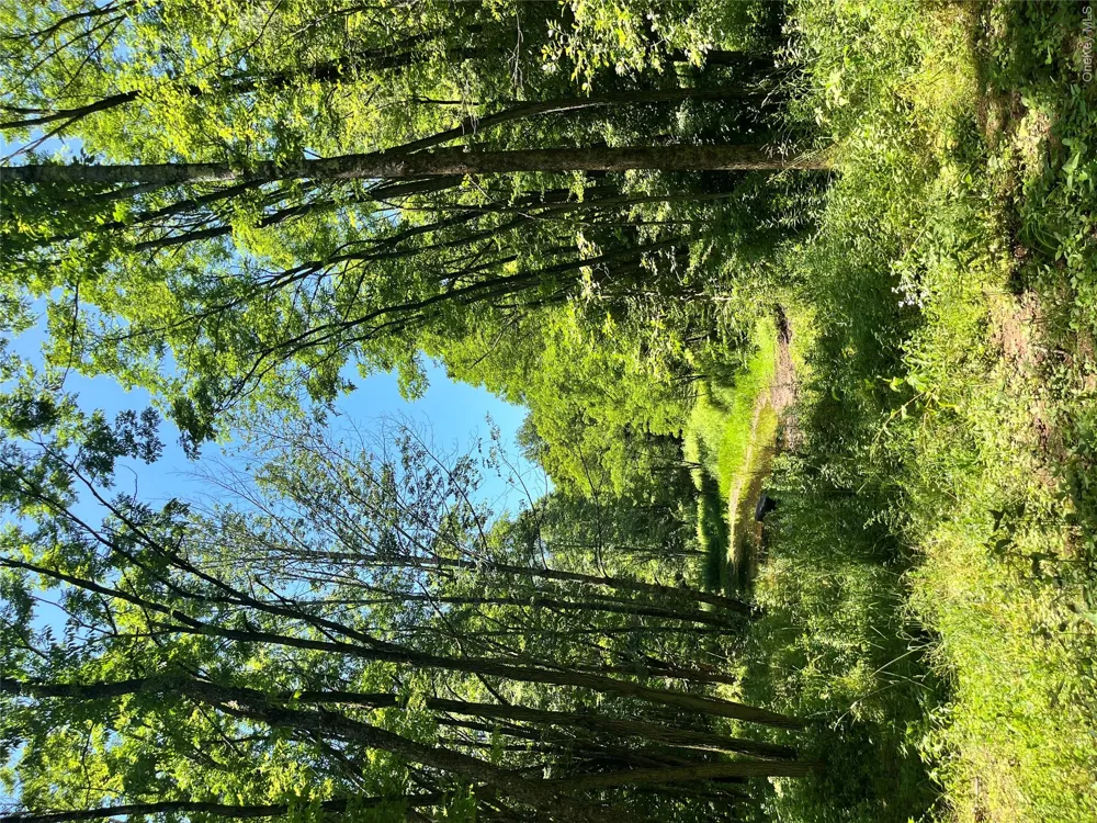 Lower Pond Dahlia Road W Livingston Manor, NY 12758