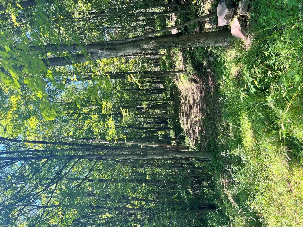 Lower Pond Dahlia Road W Livingston Manor, NY 12758