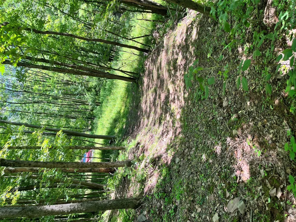 Lower Pond Dahlia Road W Livingston Manor, NY 12758