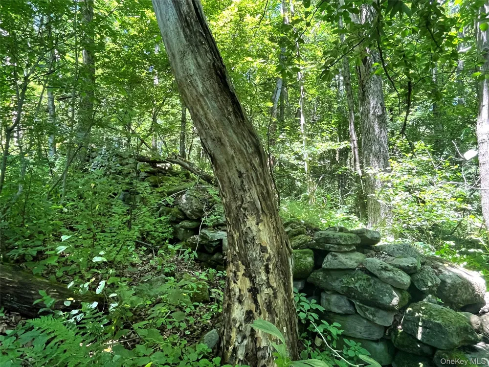 Lower Pond Dahlia Road W Livingston Manor, NY 12758