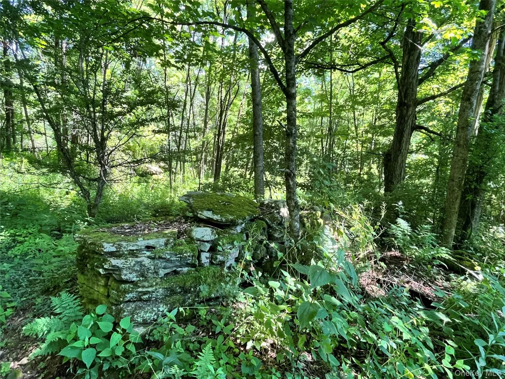 Lower Pond Dahlia Road W Livingston Manor, NY 12758