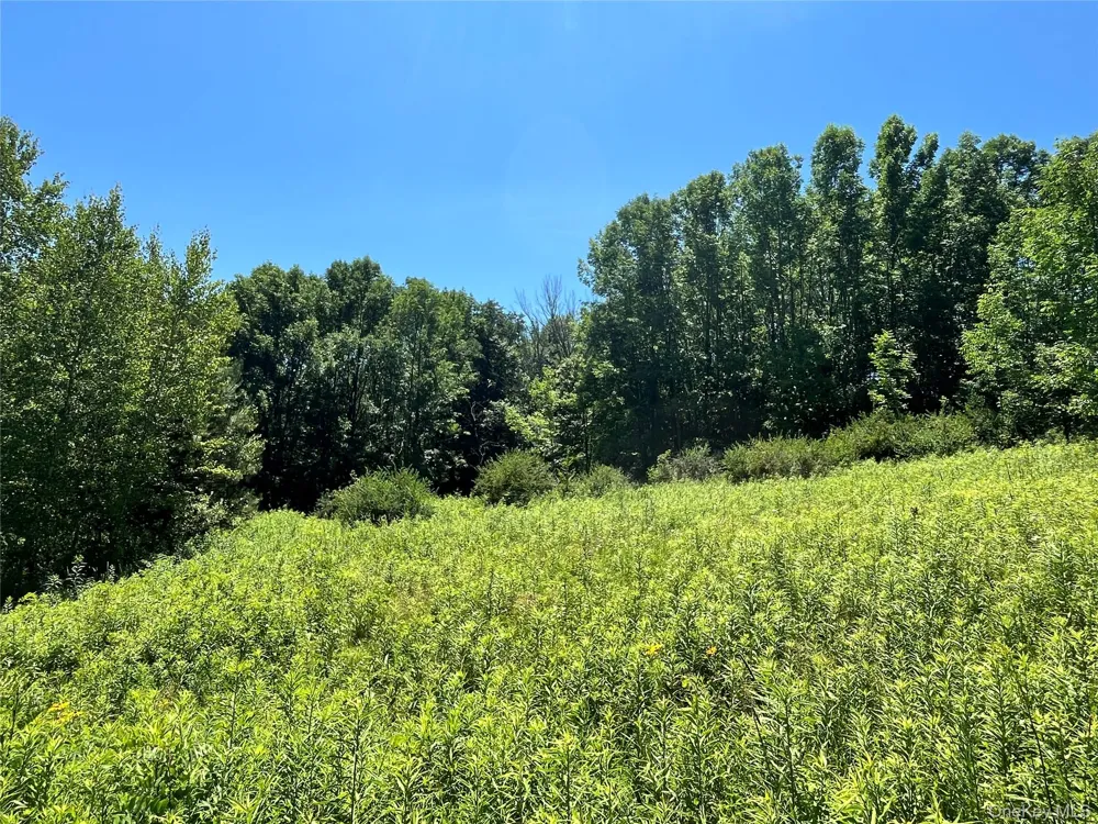 Lower Pond Dahlia Road W Livingston Manor, NY 12758