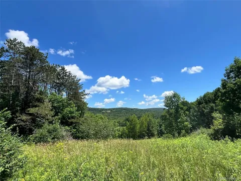 Lower Pond Dahlia Road W