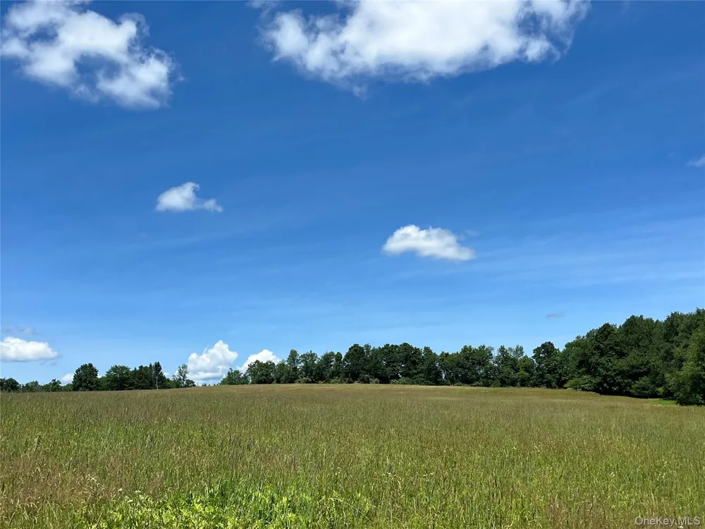 Lower Pond Dahlia Road W Livingston Manor, NY 12758