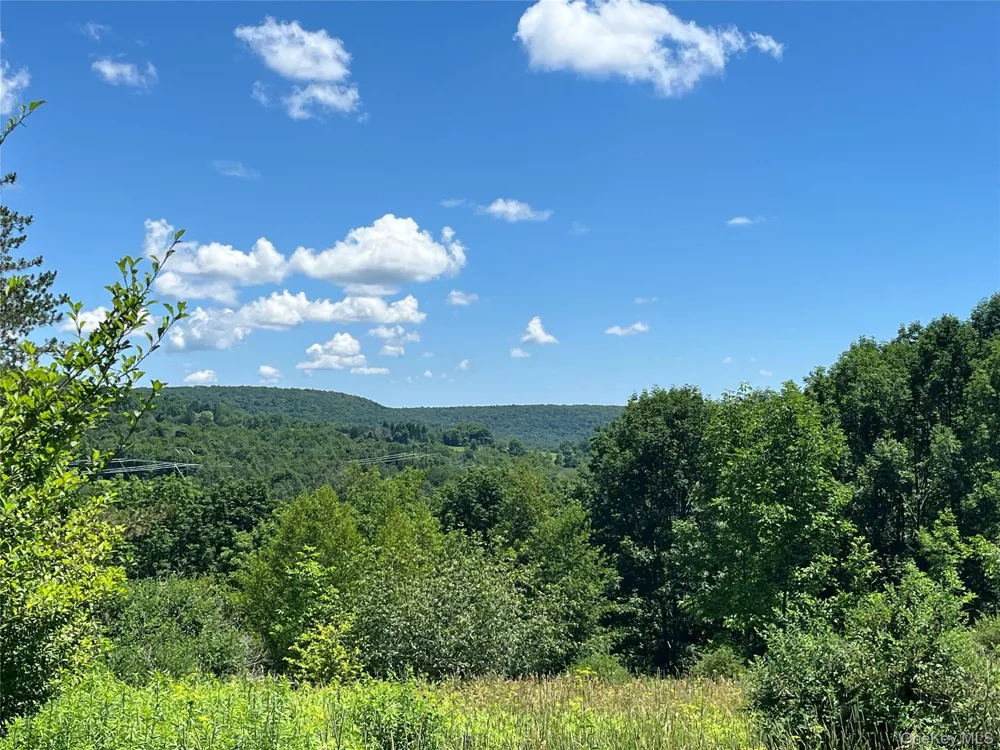 Lower Pond Dahlia Road W Livingston Manor, NY 12758