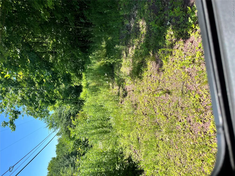 Lower Pond Dahlia Road W Livingston Manor, NY 12758