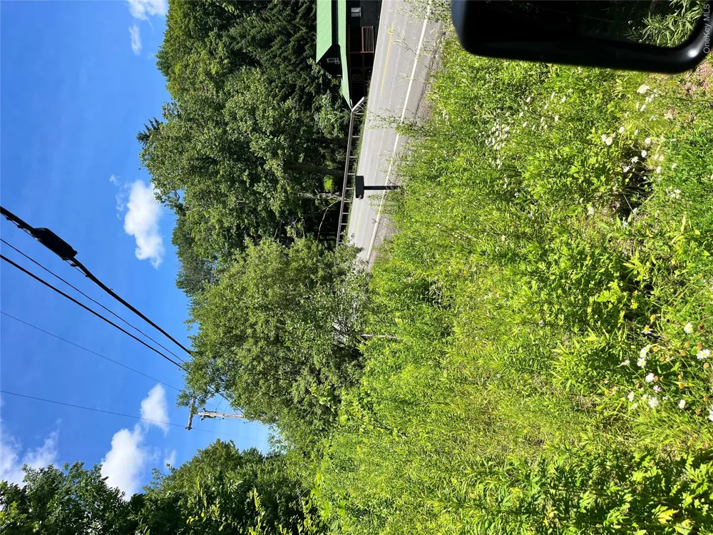 Lower Pond Dahlia Road W Livingston Manor, NY 12758